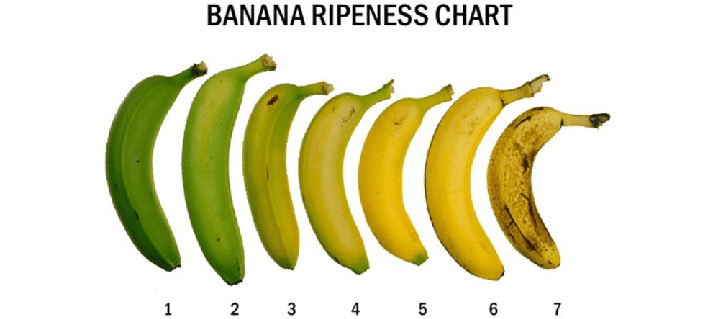 Banana Ripening - خطوات تخمير الموز