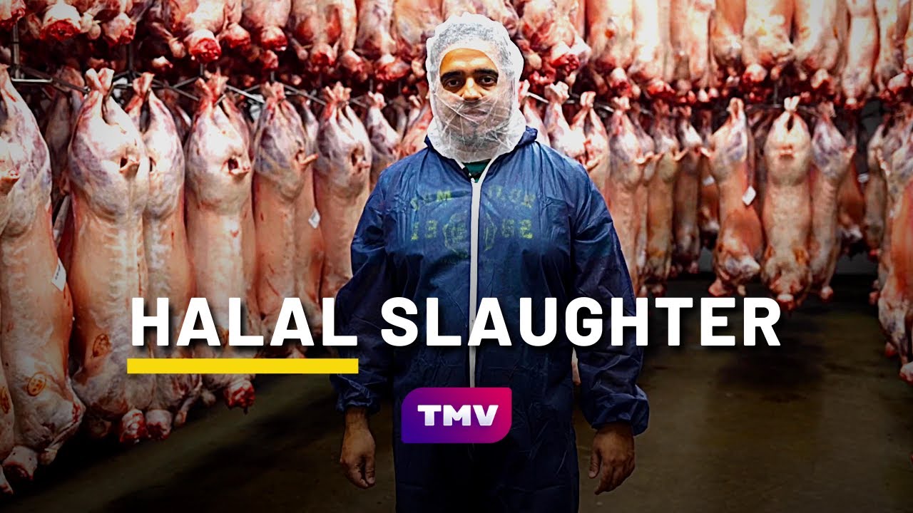 عملية الذبح حسب المركز الإسلامي في البرازيل