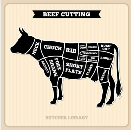 Understanding Thigh Cuts - أجزاء الفخد